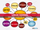 Linux Kernel