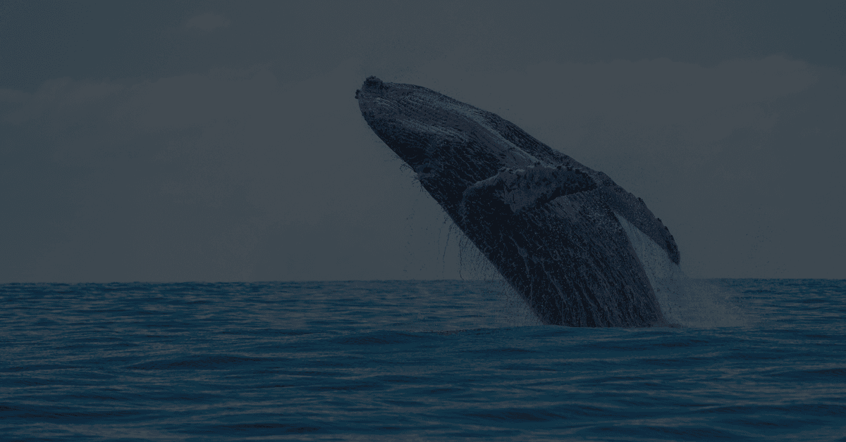 DeepSeek vs Silicon Valley