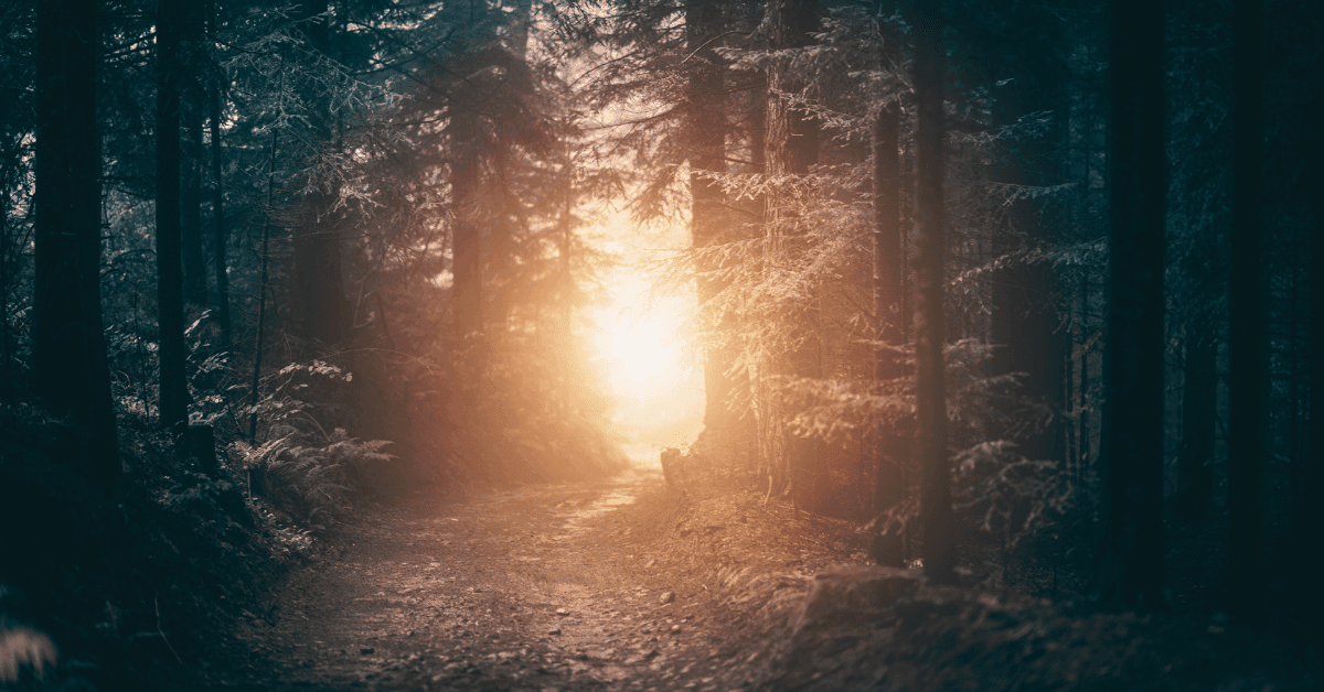 Optimisme itu kekuatan diam