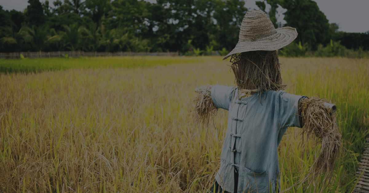 Logical Fallacy - Straw Man