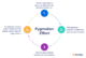 Pygmalion Effect