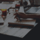 Daftar Forbes 30 Under 30